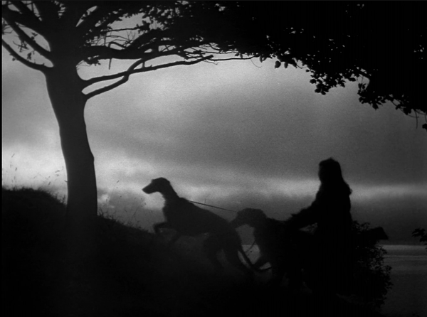 What to Watch: Windswept with Wolfhounds