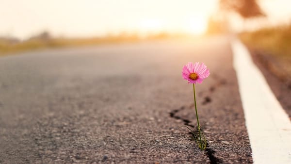 Notes on a Change of Season